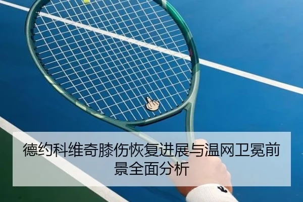 德约科维奇膝伤恢复进展与温网卫冕前景全面分析